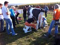 Dojení krávy