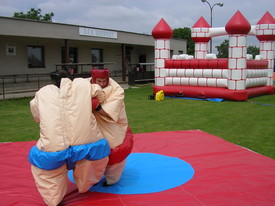 Sumo ring