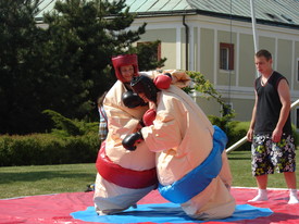 Sumo ring