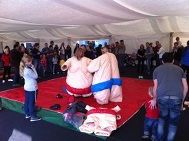 Sumo ring